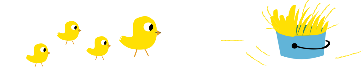 Ducks Ducks